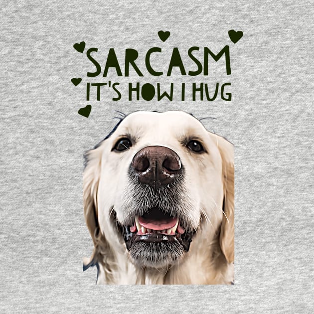 Sarcasm, its how I hug by PersianFMts